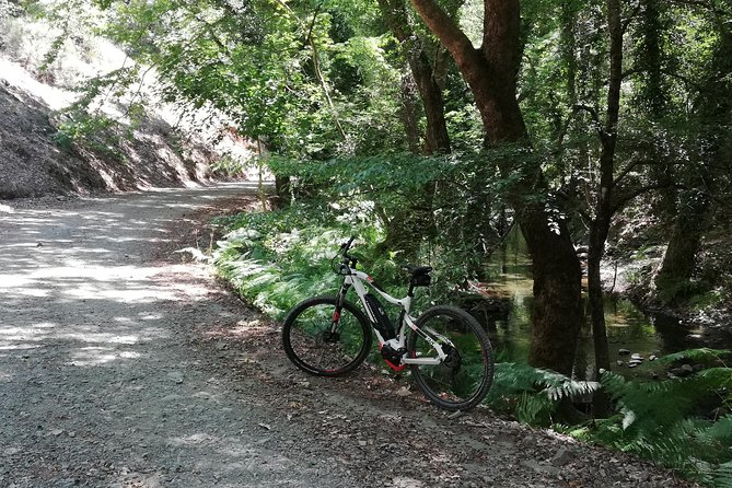 Explore Paphos forest with e-mountain bikes - Milikouri village: the quiet break that turns the ride into a story