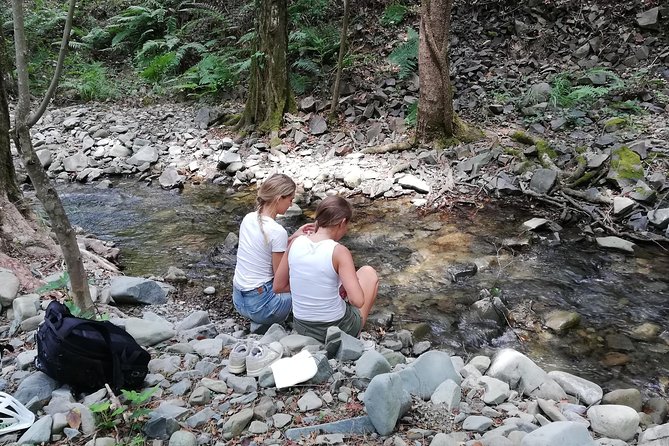 Explore Paphos forest with e-mountain bikes - Coffee, mezze, and bottled water: what the included food really covers