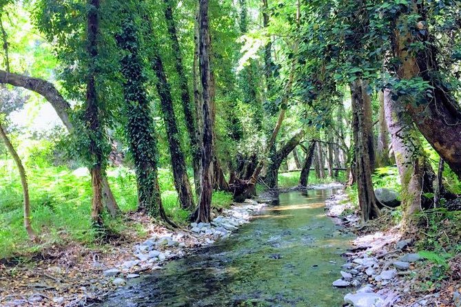 Explore Paphos forest with e-mountain bikes - Guide Pambos and the value of doing it privately