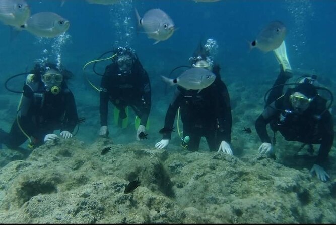 First Time Scuba Dive Adventure, Makronissos, Ayia Napa - First-Time Scuba at Makronissos: Where the Experience Starts