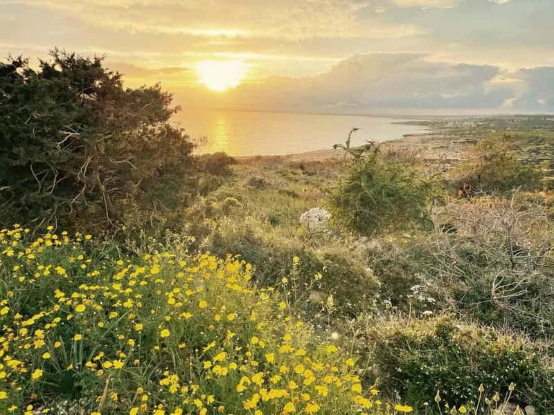 From Larnaca: Cape Greko Guided Tour with Transfers - Sergio’s guiding style: stories, safety, and photo help