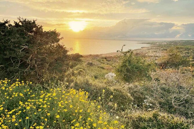 From Larnaca - Cape Greko Highlights Tour (Group of 5 People) - How the Larnaca Pickup Changes the Day