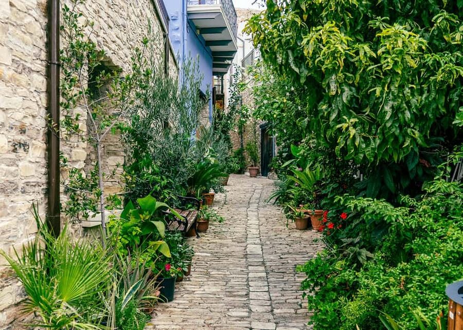 From Larnaca: Grand Tour Jeep Safari - Winery wine tasting: the craft angle, not just drinking