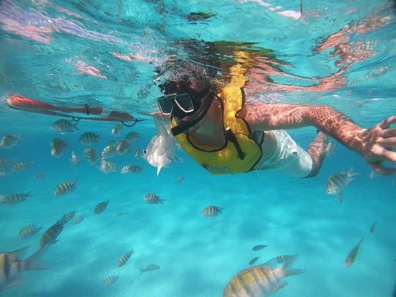 FROM LATCHI: Blue Lagoon Akamas Cruise - large water slide - Key Points Before You Go