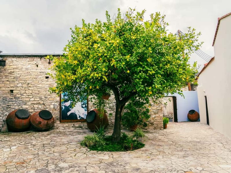 From Pafos/Limassol: Tastes of Cyprus Tour in Polish - Language and guide style: Polish, and lots of stories