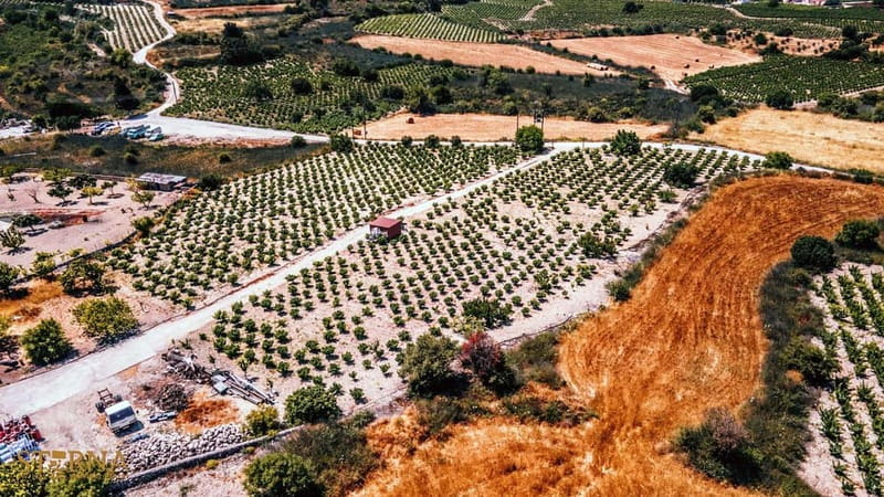 From Paphos: Afternoon Tour to Agios Neophytos Monastery - Sterna Winery Tasting: What to Expect From the Pours and the Selection