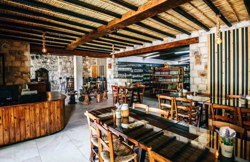 From Paphos: Afternoon Tour to Agios Neophytos Monastery - Who This Tour Suits Best
