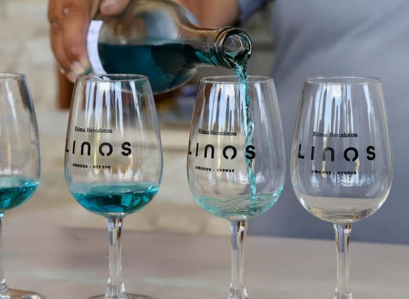 From Paphos: Akamas 4x4 Tour with Local Guide - Winery tasting and olive oil in season: two flavors that fit the region