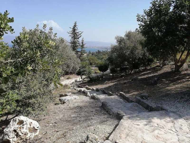 From Paphos: Baths of Aphrodite, Latchi & Blue Lagoon Cruise - Boat time, weather, and what to pack for comfort