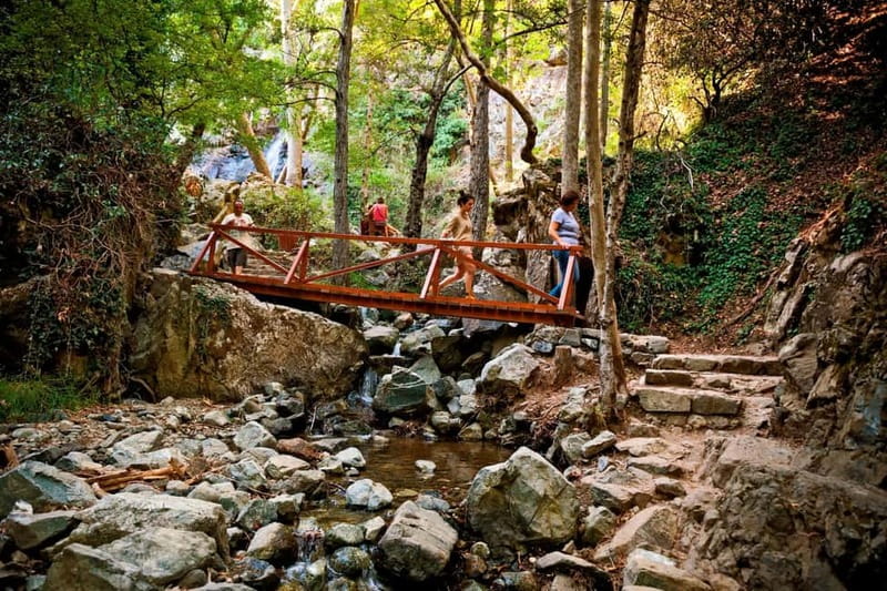 From Paphos: Caledonia Waterfalls Walking Tour with Lunch - A forest-to-waterfall day trip that actually feels like Cyprus