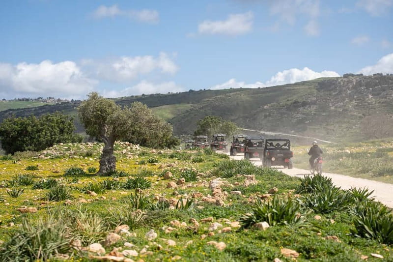 From Paphos: Coral Bay and Adonis Baths Guided Tour - Cafe break, lunch options, and packing for dust