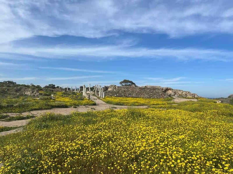 From Paphos: Famagusta, Salamis, and Varosha Walking Tour - Key highlights you should not skip