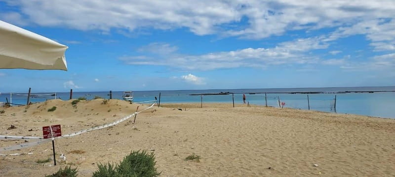 From Paphos: Famagusta, Salamis, and Varosha Walking Tour - Crossing the UN buffer zone: plan for paperwork and timing