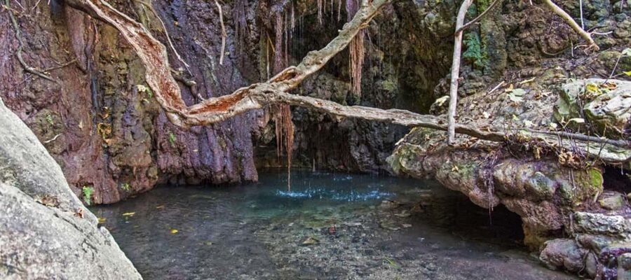 From Paphos or Limassol: Akamas National Park Jeep Safari - Lara Bay Turtle Conservation Station: The Sacred Sands Moment