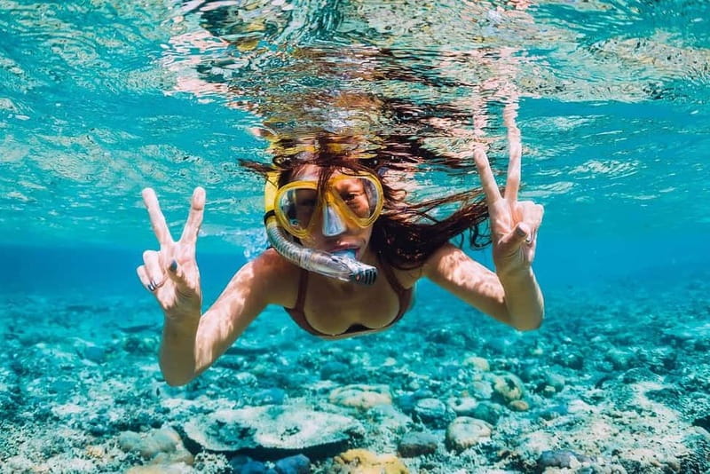 FROM PAPHOS: Snorkeling at the Marine Park (shore) - Key things that make this tour worth your time