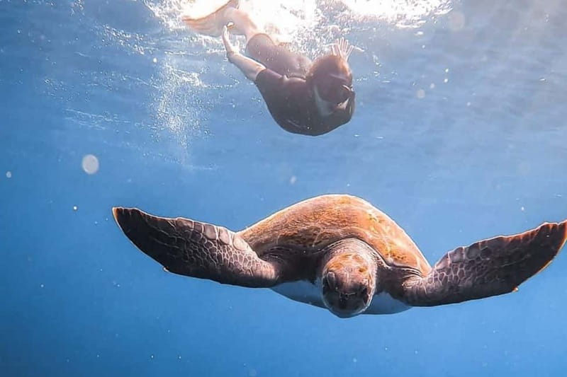 FROM PAPHOS: Snorkeling at the Marine Park (shore) - The PADI Professional Briefing That Makes Snorkeling Feel Easier