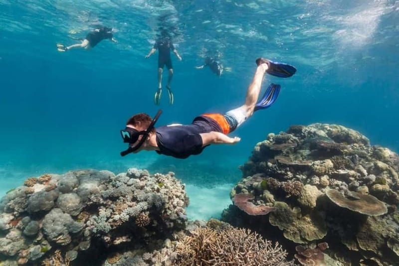 FROM PAPHOS: Snorkeling at the Marine Park (shore) - Gear and Comfort Wins That Matter More Than You Think