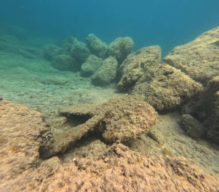 FROM PAPHOS: Snorkeling at the Marine Park (shore) - Price and Value for a 2-Hour Shore Tour