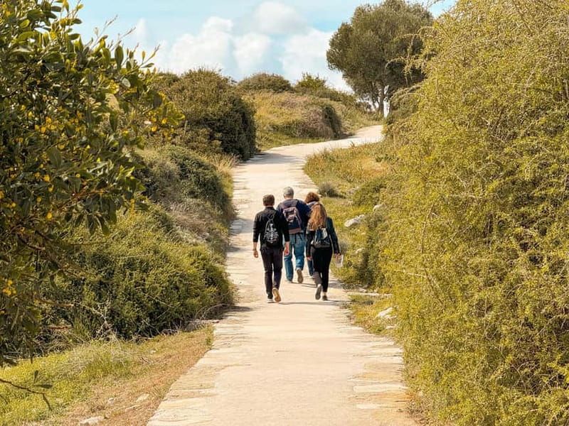 From Paphos: Trip to Limassol with Kourion & Kolossi Castle - The Whole Day, in Plain Terms: Paphos Pickup to Limassol Returns