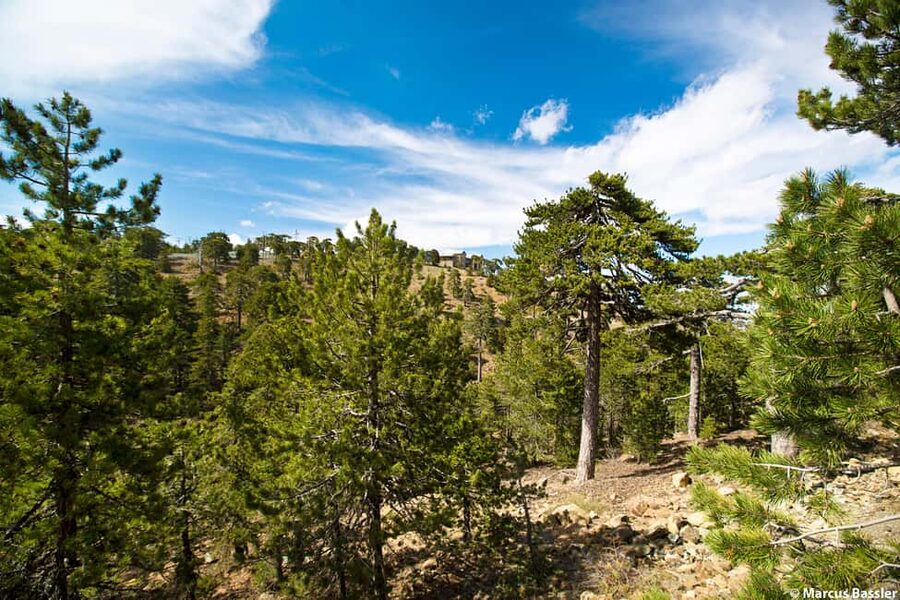 From Paphos: Troodos Jeep Safari - Omodos village time plus wine tasting that ties it together