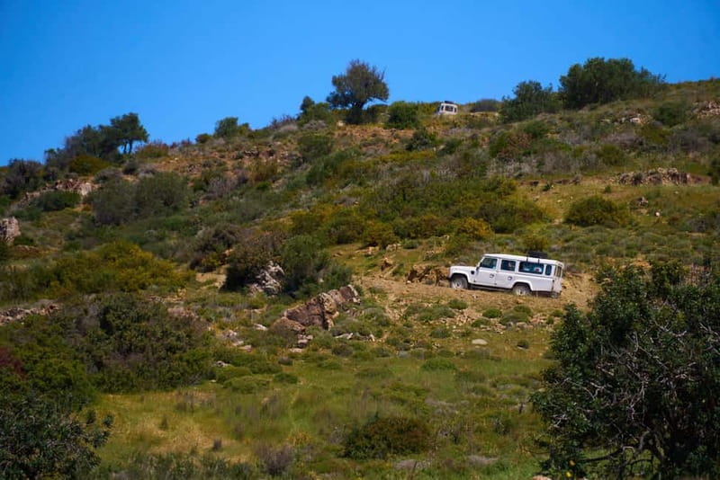 From Protaras: Full-Day Grand tour Jeep Safari with Lunch - Protaras Jeep Safari Basics: what you actually get for $109