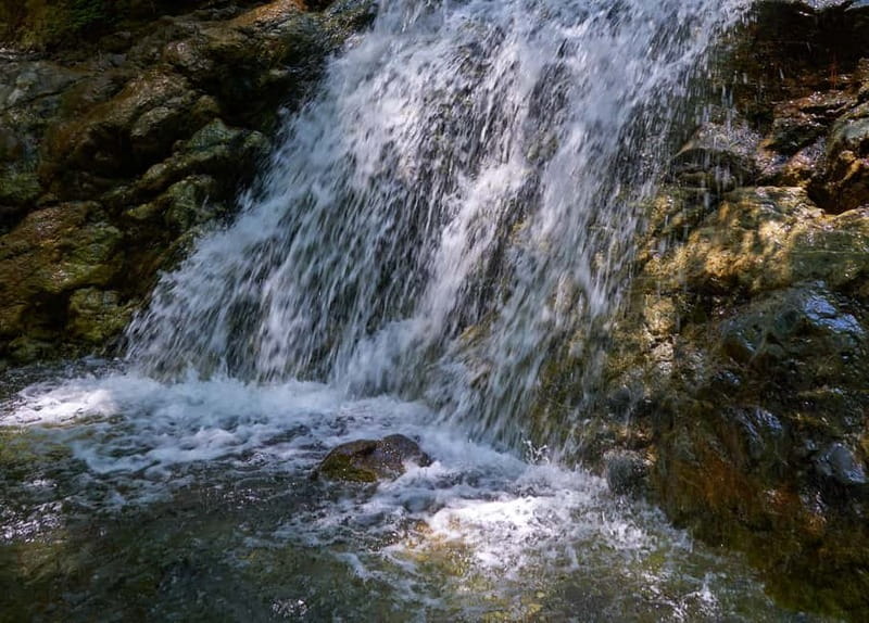 From Protaras: Full-Day Grand tour Jeep Safari with Lunch - Pano Platres: lunch in the mountains, with included drinks