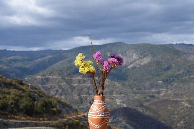 From Roses to Mountain, Agros (Troodos area)- Wine -Nature Walk - Roses, sweets, and Troodos air, in a 5-hour loop