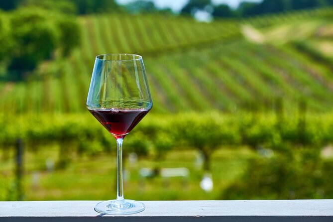 Full Day Private Cyprus Wine Tour from Alaminos - What Your Money Covers, and What Costs Extra