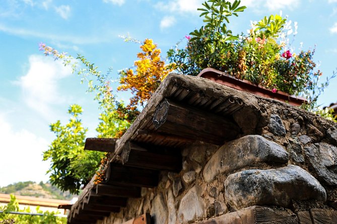 Gourmet Cyprus Tour – Local Flavors & Wine from Paphos - Price and value: what $71.04 covers, and what to budget