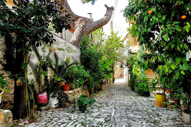 Gourmet Cyprus Tour – Local Flavors & Wine from Paphos - Laneia: cobblestones, flowers, and free museum time