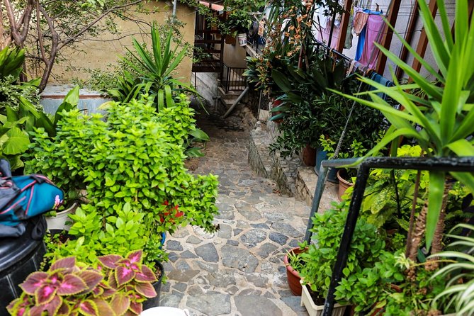 Gourmet Cyprus Tour – Local Flavors & Wine from Paphos - Pickup timing, road comfort, and the practical stuff you can control