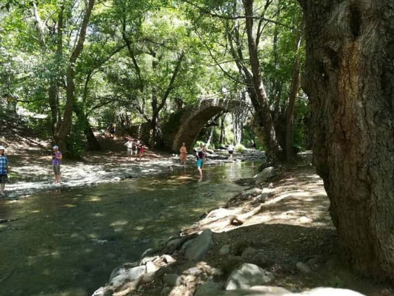 Guided Safari Tour Troodos Mountains and Kykkos Monastery - Comfort, walking, and who should book this safari
