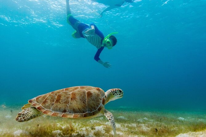 Guided snorkeling trip to the turtles in Protaras - What happens once you’re suited up for snorkeling