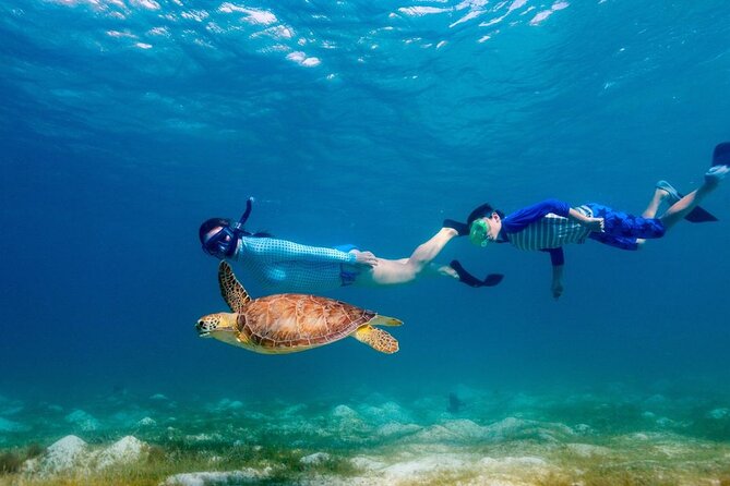 Guided snorkeling trip to the turtles in Protaras - Group size (max 4) and why it matters in the water