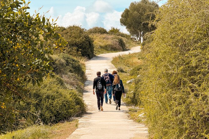 Guided Tour of Limassol with Kourion and Kolossi Castle - Petra tou Romiou: Free Aphrodite Photos With Big-Coast Energy