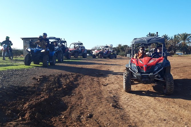 Half-Day Buggy Safari to Akamas Peninsula with Lunch - Edro III Shipwreck and Sea Caves, Up Close and Photo Friendly