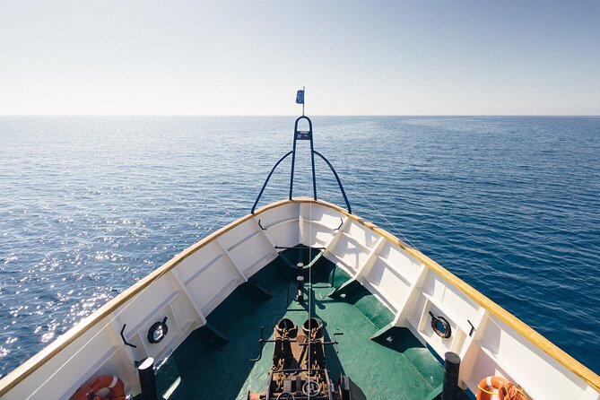 Half-Day Odyssey Guided Boat Safari with Lunch in Cyprus - Stop 2: Cape Pyla swimming, sea caves, and sea eagles overhead