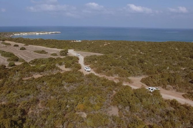 Half day Safari Tour to Akamas Peninsula from Paphos - Avakas Gorge: an escorted mini hike with slippery sections