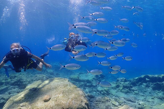 Introductory diving in small groups - Meeting point and getting there without drama