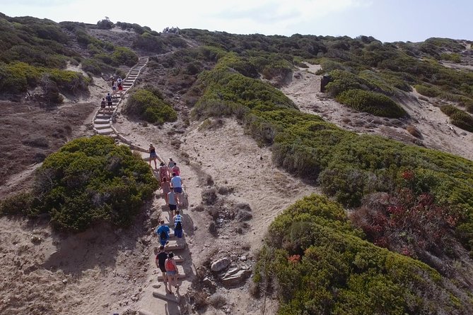 Jeep Safari Akamas from Paphos - Avakas Gorge: the hike that sets the tone