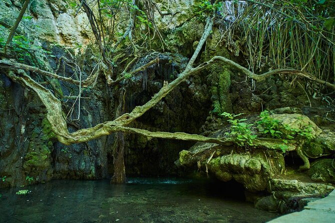 Jeep Safari Akamas from Paphos - Akamas Peninsula viewpoint and Baths of Aphrodite: short stops with a myth edge