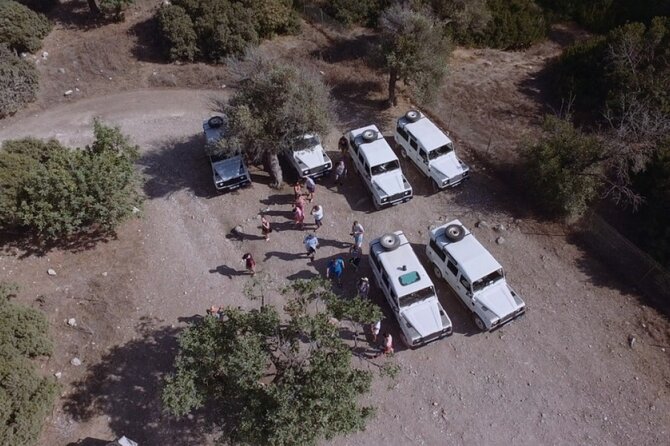 Jeep Safari Akamas from Paphos - Jeep rides and comfort tips for rough terrain