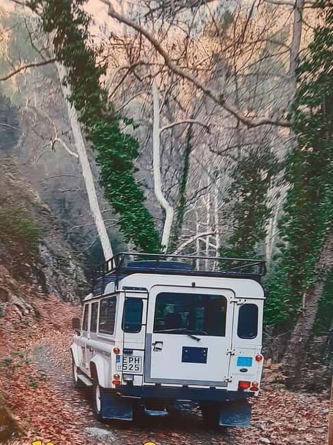 Jeep safari in French, English to Akamas, Gorge, Donkey Farm - Jeep safari logic: why this Akamas route works so well