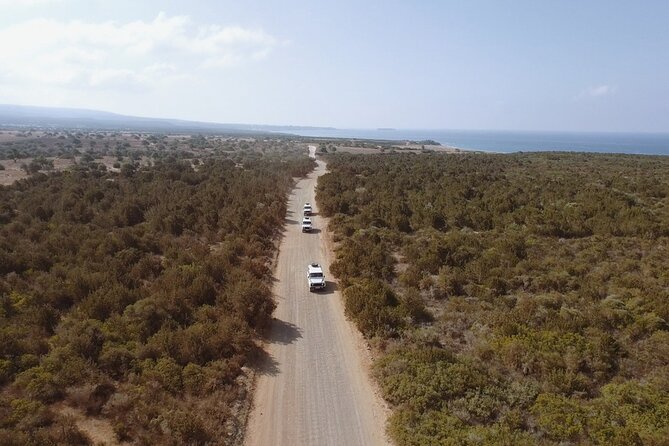Jeep Safari to Akamas from Limassol - Getting There From Limassol Without Stress