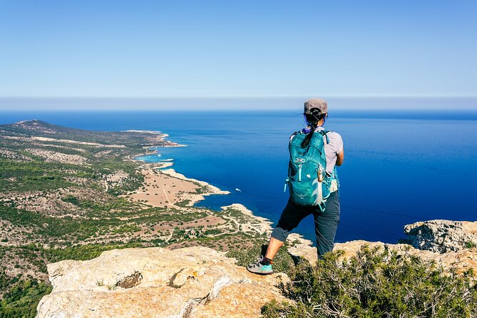 Jeep Safari to Akamas from Limassol - Lara Beach and Turtle Conservation: What You Learn at the Shore