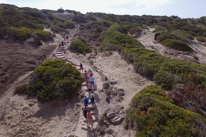 Jeep Safari to Akamas from Limassol - Avakas Gorge Walk: A Limestone Tunnel With Real Footing