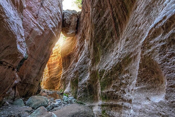 Jeep Safari to Akamas National Park: Avakas Gorge Tour from Paphos - Sea Caves Stop, Where Time Shows Up in Rock