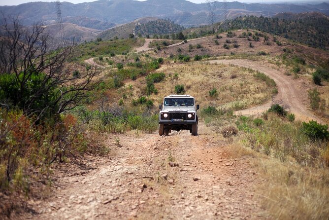 Jeep Safari to Akamas National Park: Avakas Gorge Tour from Paphos - Akamas Peninsula Swim Stop (April to November): Yes, It’s Worth It