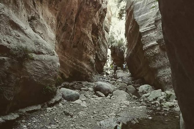 Jeep Safari to Akamas National Park: Avakas Gorge Tour from Paphos - Baths of Aphrodite: Legend, Shade, and the Short Version