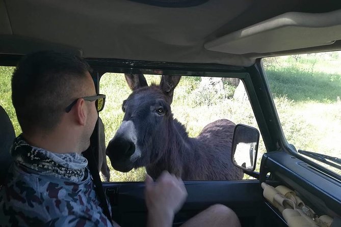 Jeep Safari to Akamas National Park: Avakas Gorge Tour from Paphos - Edro III Shipwreck: A Finale That Looks Like a Postcard